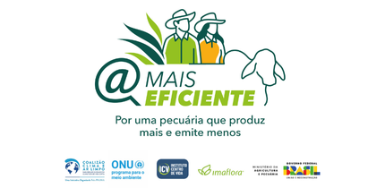 Banner Mobile